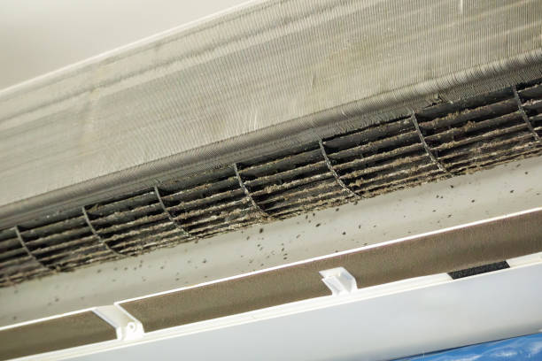 Best Ductwork Odor Removal in Marion Oaks, FL