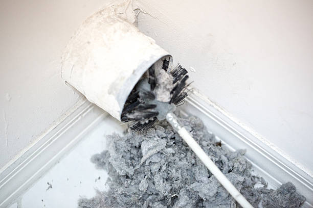 Best Mold and Mildew Removal from Ducts in Marion Oaks, FL